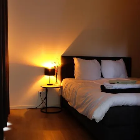 The Black Oak - Luxe Met Prive Sauna Ferienhaus Voorthuizen