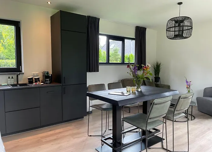 Ferienhaus The Black Oak - Luxe Met Prive Sauna Voorthuizen